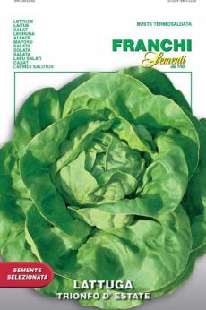 Lettuce, Lattuga Trionfo D'Estate (Triumph of Summer) | The Heirloom ...